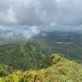 La randonnée en Martinique