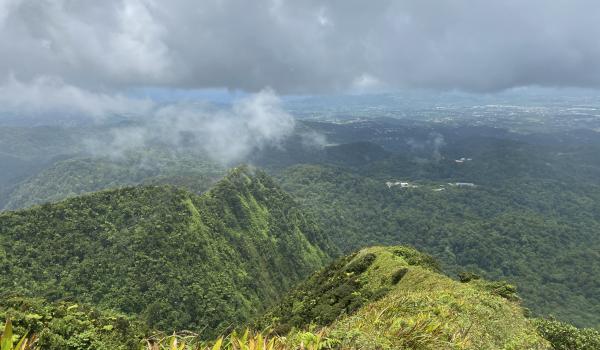 La randonnée en Martinique