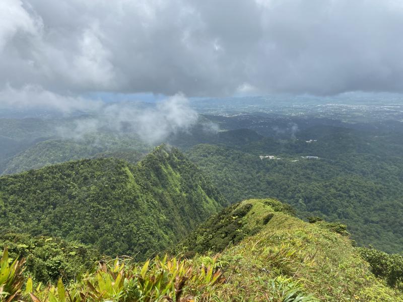 La randonnée en Martinique