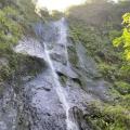 Randonnée "Cascade de la rivière Trois bras"