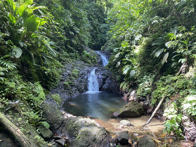 Randonnée "Cascade de la rivière Trois bras"