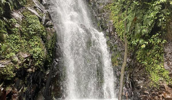 La remontée de la rivière Massé à Fonds-Saint-Denis