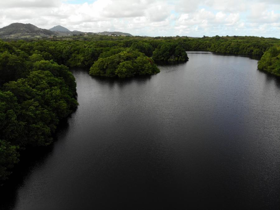 Vue aérienne etang massel 2