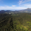 Montagne Pelée depuis le Morne Jacob