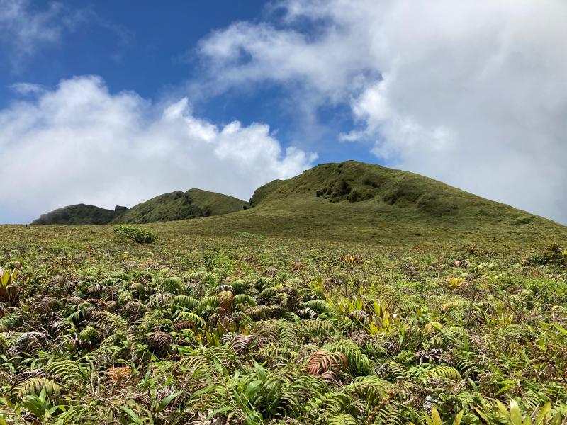 La montagne Pelée par Basse-Pointe