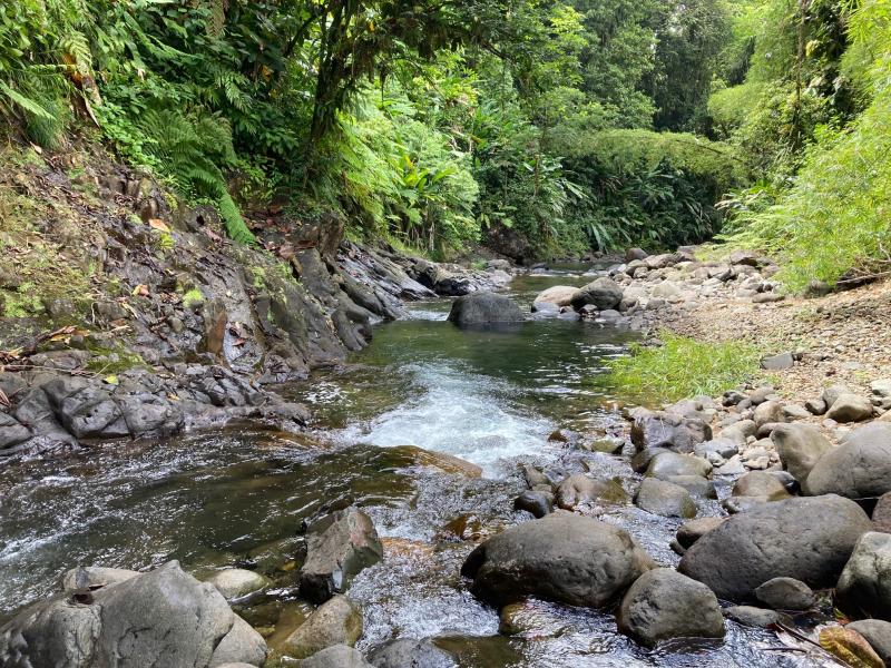 La rivière du Lorrain et ses nombreux bassins