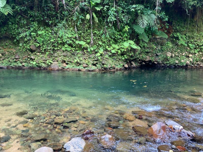 La rivière du Lorrain et ses nombreux bassins