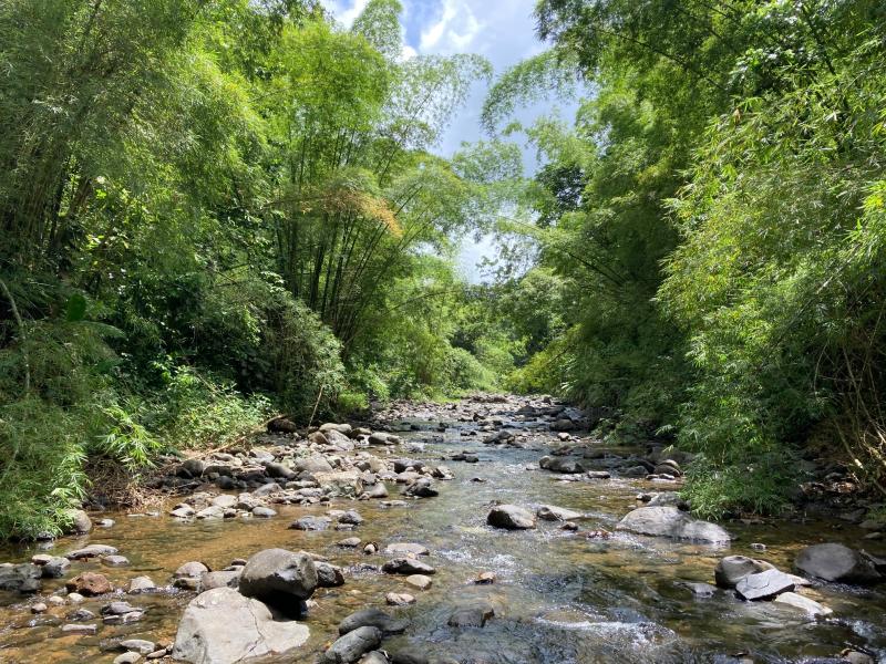 La rivière du Lorrain et ses nombreux bassins