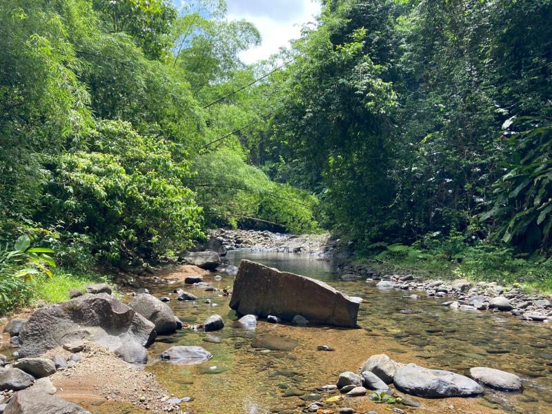 La rivière du Lorrain et ses nombreux bassins