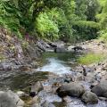 La rivière du Lorrain et ses nombreux bassins