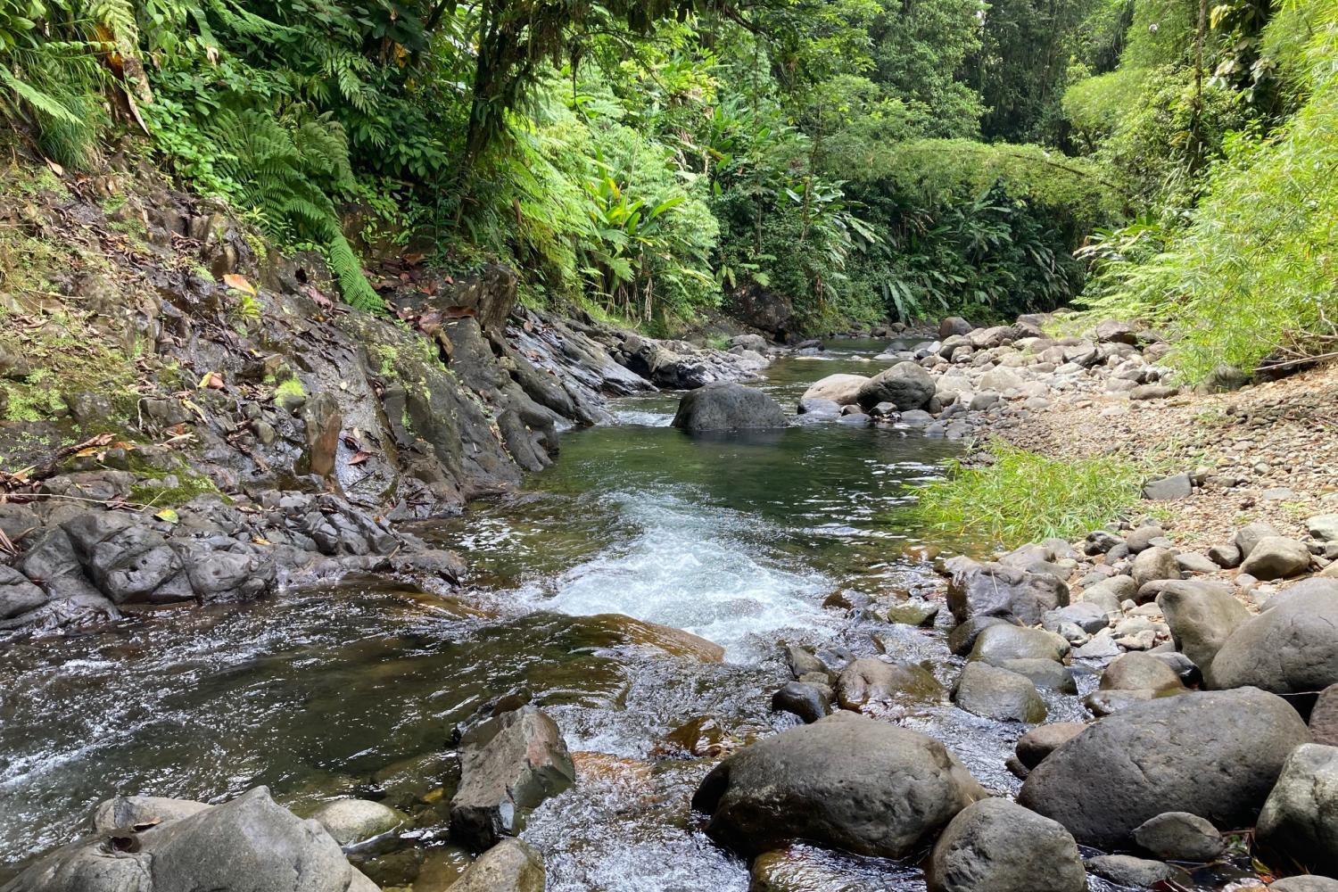 La rivière du Lorrain et ses nombreux bassins