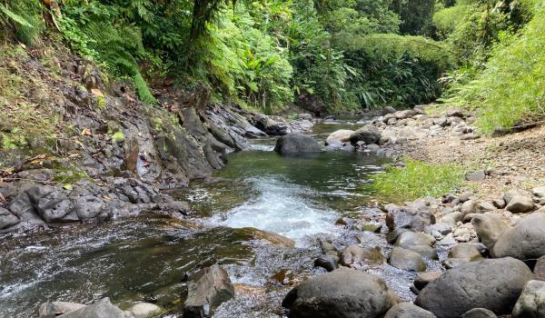 La rivière du Lorrain et ses nombreux bassins