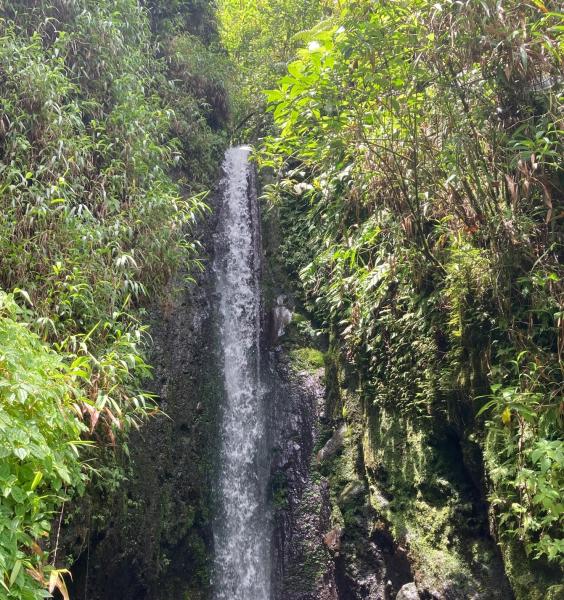 La cascade de Terre Missoré - Rivière Falaise