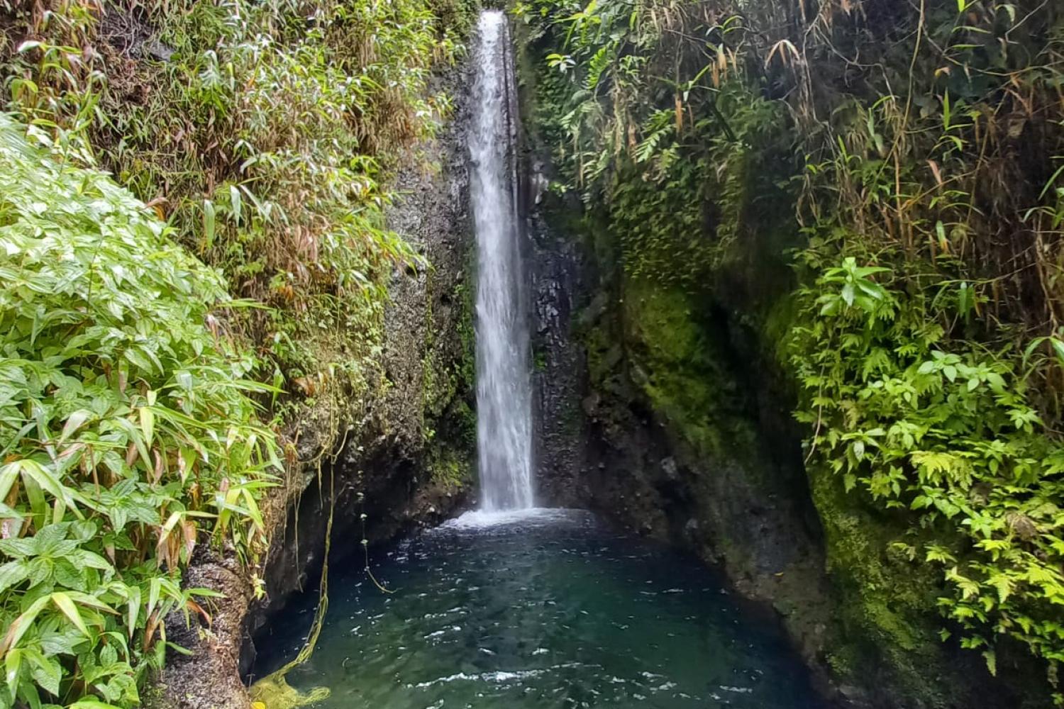 La cascade de Terre Missoré - Rivière Falaise