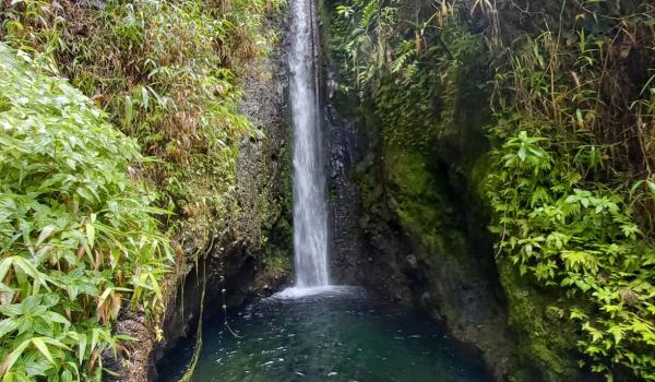 La cascade de Terre Missoré - Rivière Falaise