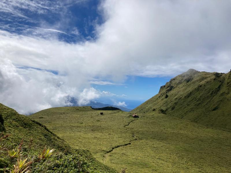 Le morne Macouba par la trace de l'aileron