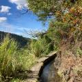 Canal des esclaves / Canal de Beauregard